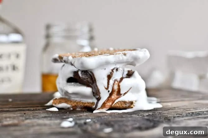 Bourbon Bacon Marshmallow S'mores Bourbon Bacon Marshmallow S'mores