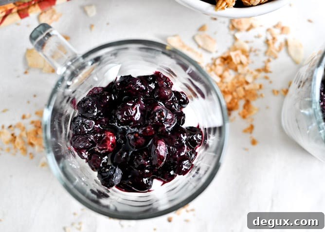 Roasted Blueberry Coconut Quinoa Parfaits with Coconut Granola
