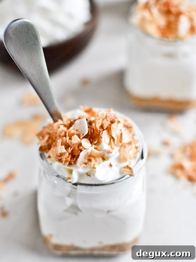 No-Bake Coconut Cream [Goat Cheese] Cheesecake