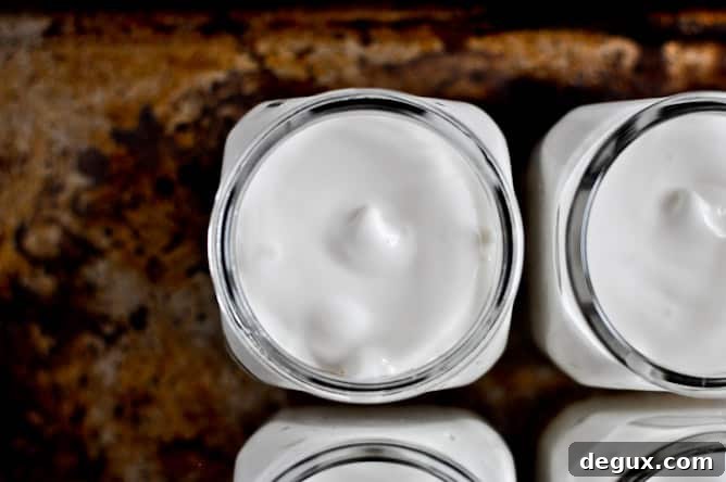 No-Bake Coconut Cream [Goat Cheese] Cheesecake