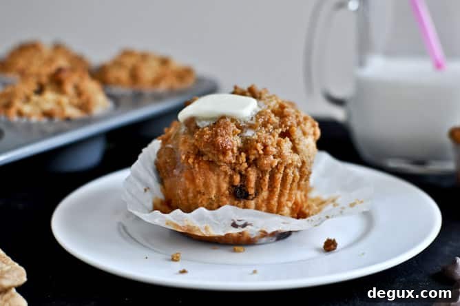 Graham Cracker Chocolate Chip Muffins I howsweeteats.com Graham Cracker Chocolate Chip Muffins I howsweeteats.com