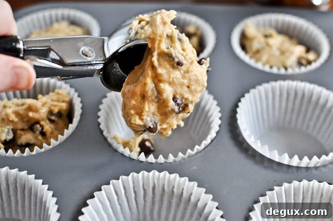 Graham Cracker Chocolate Chip Muffins I howsweeteats.com Graham Cracker Chocolate Chip Muffins I howsweeteats.com
