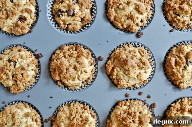 Graham Cracker Chocolate Chip Muffins I howsweeteats.com Graham Cracker Chocolate Chip Muffins I howsweeteats.com