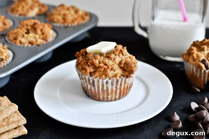 Graham Cracker Chocolate Chip Muffins I howsweeteats.com Graham Cracker Chocolate Chip Muffins I howsweeteats.com
