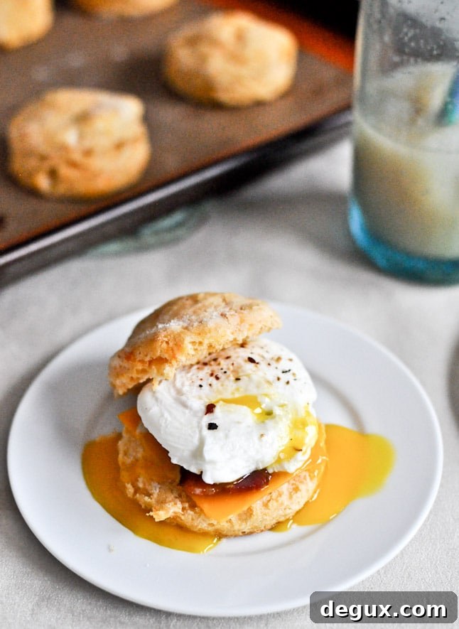 Sweet Potato Breakfast Biscuits I howsweeteats.com