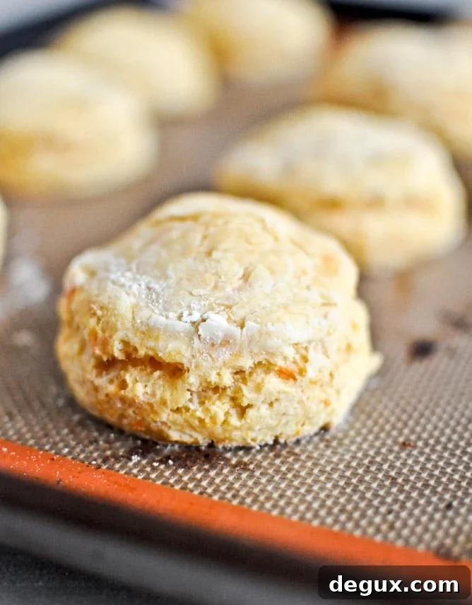 Sweet Potato Breakfast Biscuits I howsweeteats.com