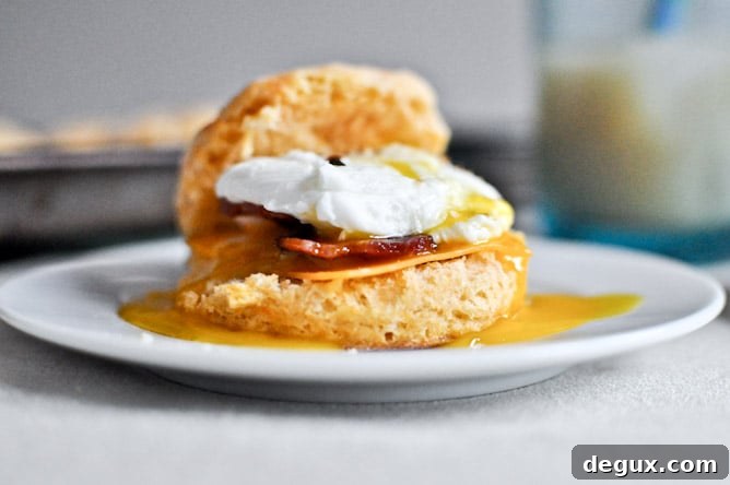 Sweet Potato Breakfast Biscuits I howsweeteats.com