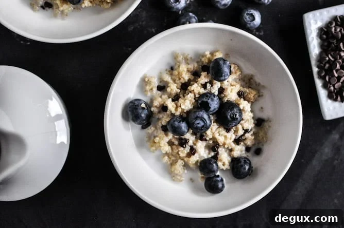 Chocolate Chip Blueberry Breakfast Quinoa