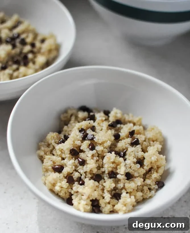 Chocolate Chip Blueberry Breakfast Quinoa