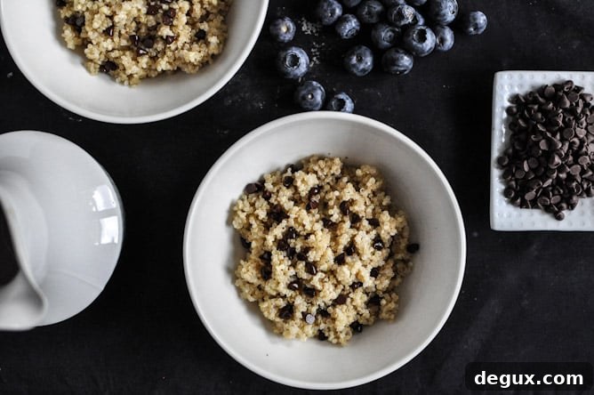 Chocolate Chip Blueberry Breakfast Quinoa