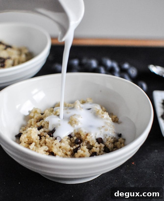 Chocolate Chip Blueberry Breakfast Quinoa