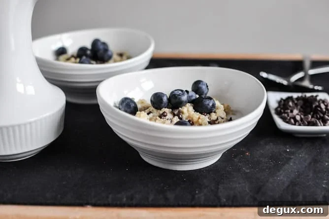 Chocolate Chip Blueberry Breakfast Quinoa