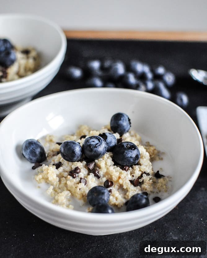 Chocolate Chip Blueberry Breakfast Quinoa