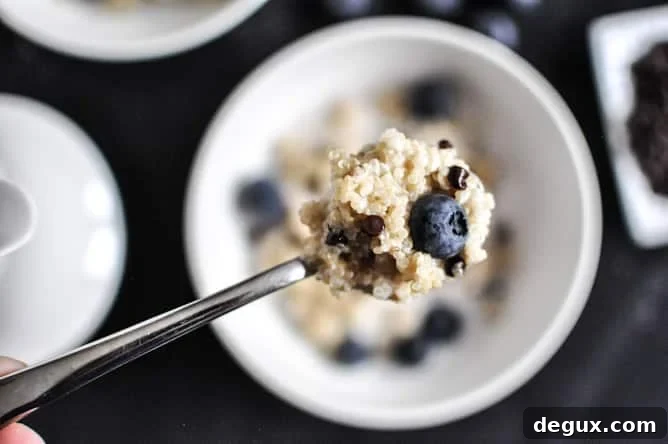 Chocolate Chip Blueberry Breakfast Quinoa