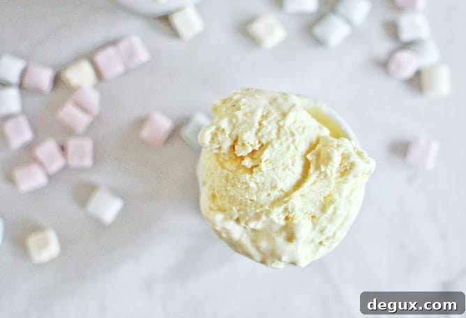 White Chocolate Buttermint Ice Cream White Chocolate Buttermint Ice Cream