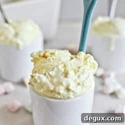 White Chocolate Buttermint Ice Cream Recipe with Fresh Mint Swirls 2 img 26529 5