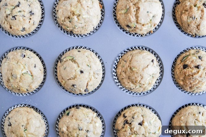 Whole Wheat Zucchini Banana Chocolate Chip Muffins