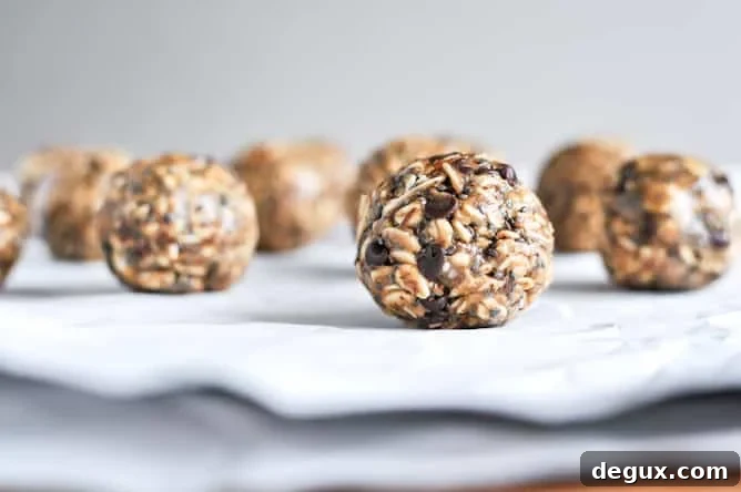 Healthy: Quick + Easy No Bake Oatmeal Peanut Butter Bites Healthy: Quick + Easy No Bake Oatmeal Peanut Butter Bites