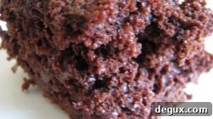 IMG_2120 IMG_2120