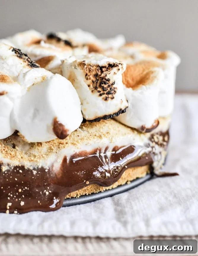 Gooey S'mores Ice Cream Cake I howsweeteats.com