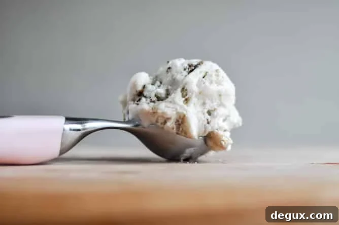 Gooey S'mores Ice Cream Cake I howsweeteats.com