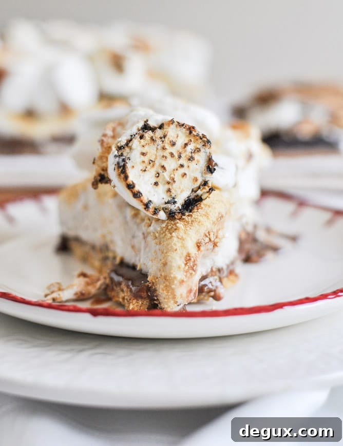 Gooey S'mores Ice Cream Cake I howsweeteats.com