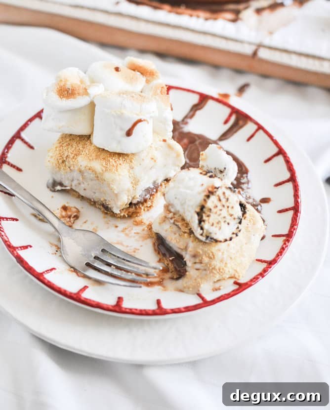 Gooey S'mores Ice Cream Cake I howsweeteats.com