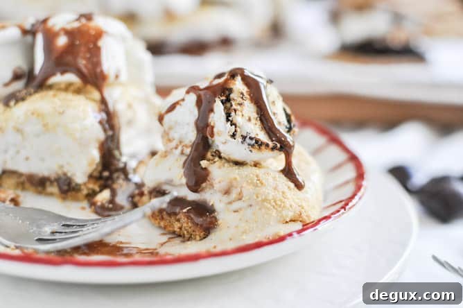 Gooey S'mores Ice Cream Cake I howsweeteats.com