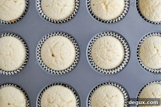 Sugared Toasted Almond Cupcakes with Chocolate Frosting I howsweeteats.com