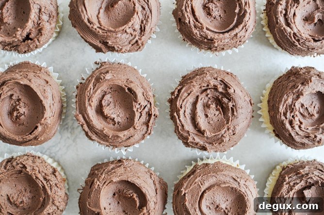 Sugared Toasted Almond Cupcakes with Chocolate Frosting I howsweeteats.com