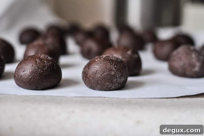 Glazed and Sprinkled Chocolate Cake Donut Holes I howsweeteats.com