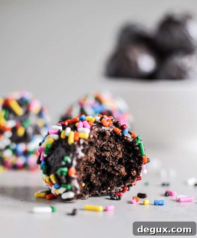 Glazed and Sprinkled Chocolate Cake Donut Holes I howsweeteats.com