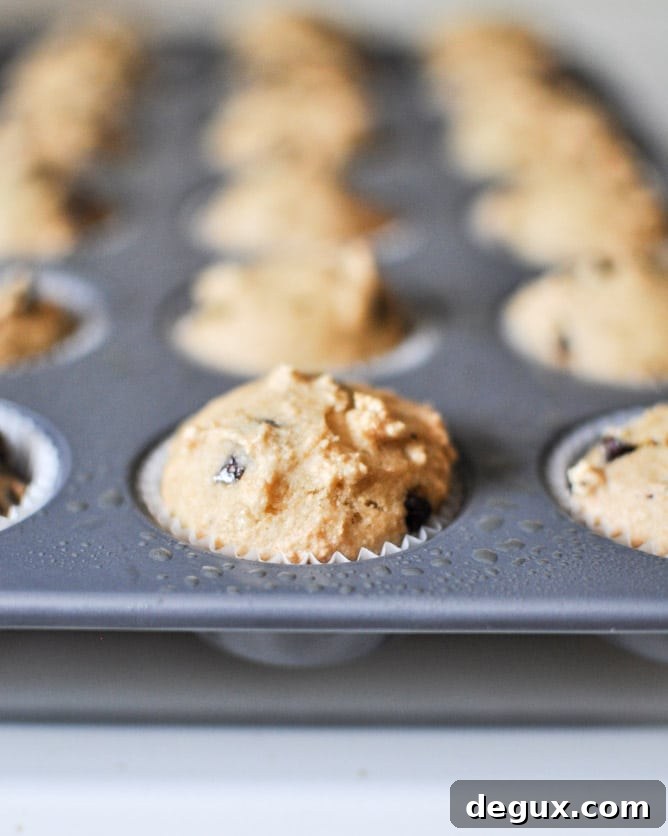 Mini Whole Wheat Chocolate Chip Muffins I howsweeteats.com Mini Whole Wheat Chocolate Chip Muffins I howsweeteats.com