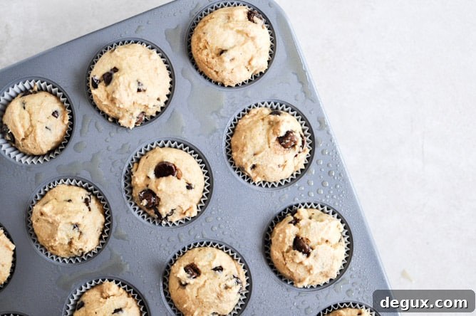 Mini Whole Wheat Chocolate Chip Muffins I howsweeteats.com