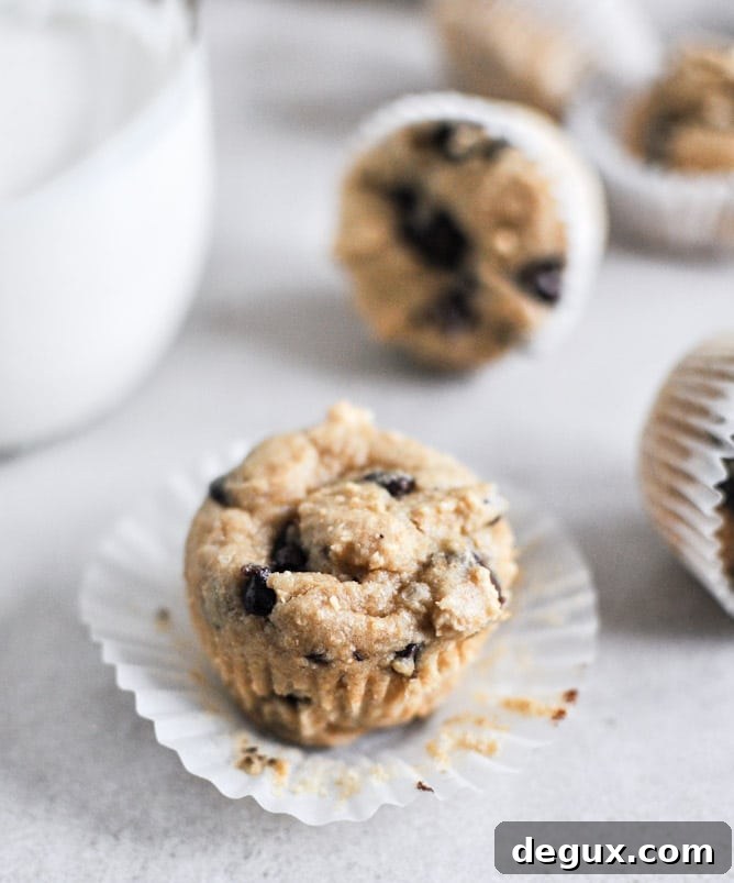 Mini Whole Wheat Chocolate Chip Muffins I howsweeteats.com