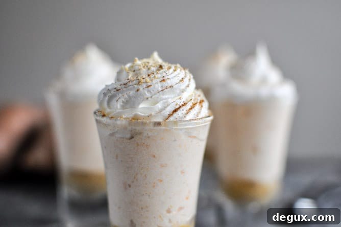 No-Bake Sweet Potato Cheesecakes I howsweeteats.com