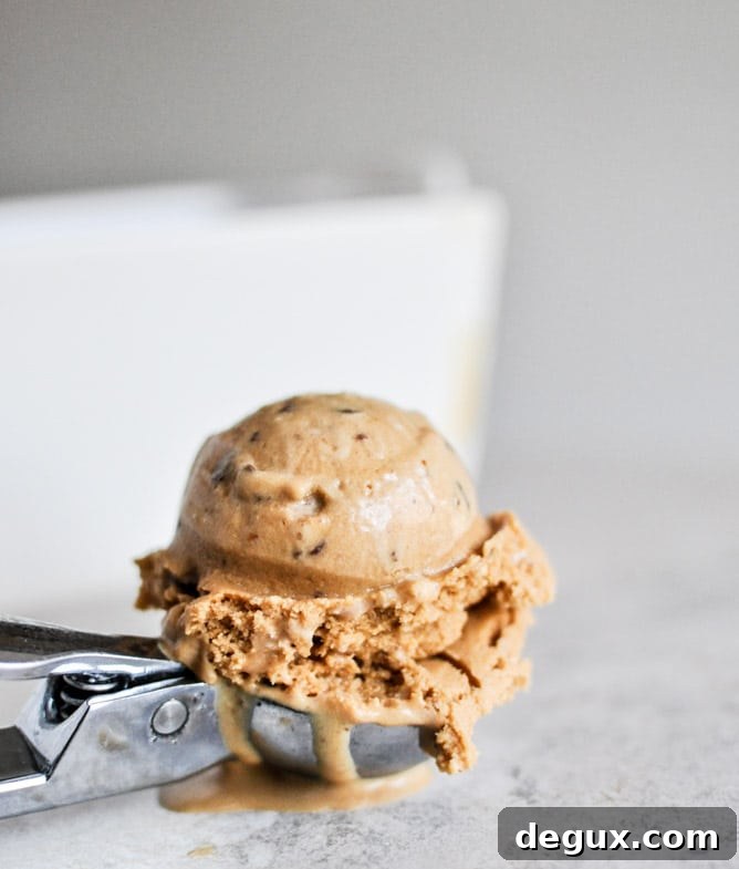 Burnt Caramel Bourbon Ice Cream with Milk Chocolate Toffee I howsweeteats.com
