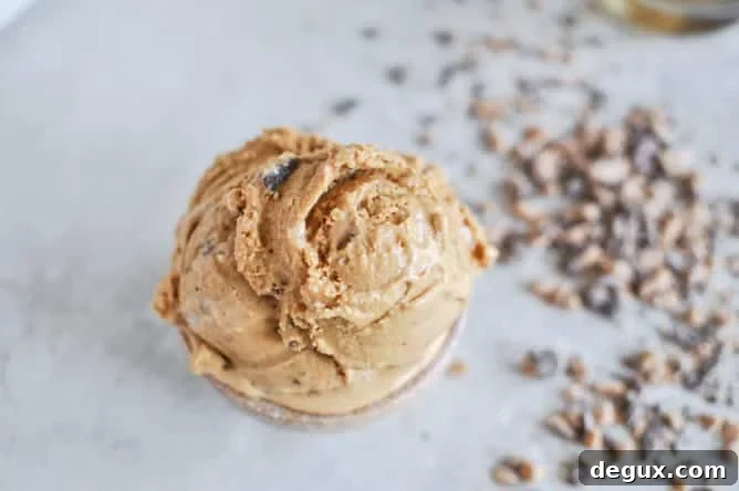 Burnt Caramel Bourbon Ice Cream with Milk Chocolate Toffee Burnt Caramel Bourbon Ice Cream with Milk Chocolate Toffee