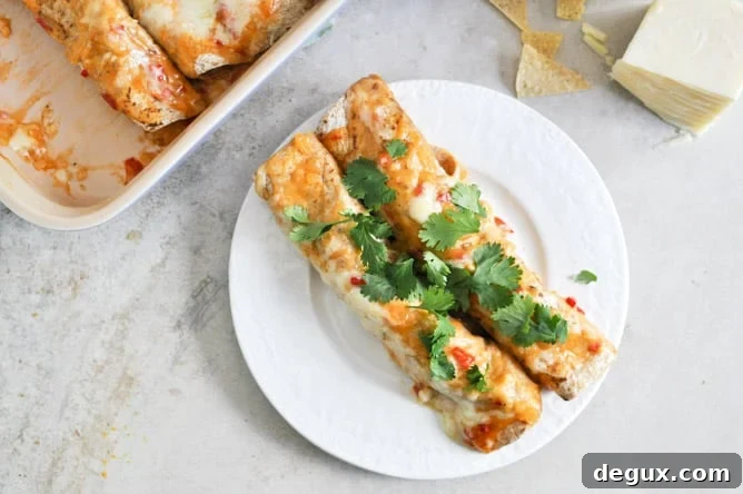 Lightened Up Chicken Enchiladas I howsweeteats.com