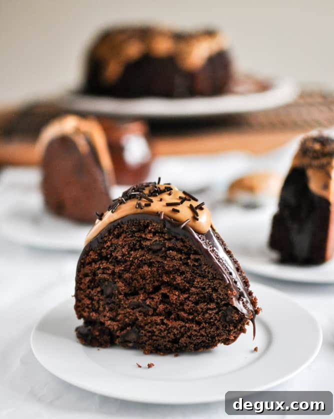 Chocolate Fudge Peanut Butter Cake I howsweeteats.com