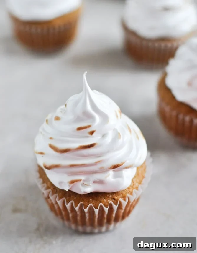 Pumpkin S'mores Cupcakes I howsweeteats.com