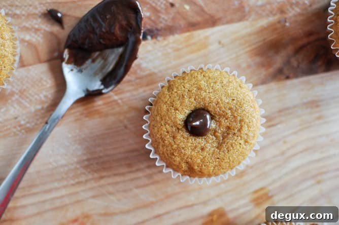Pumpkin S'mores Cupcakes I howsweeteats.com