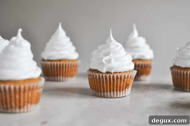 Pumpkin S'mores Cupcakes I howsweeteats.com