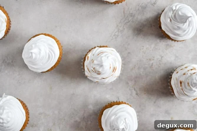 Pumpkin S'mores Cupcakes I howsweeteats.com