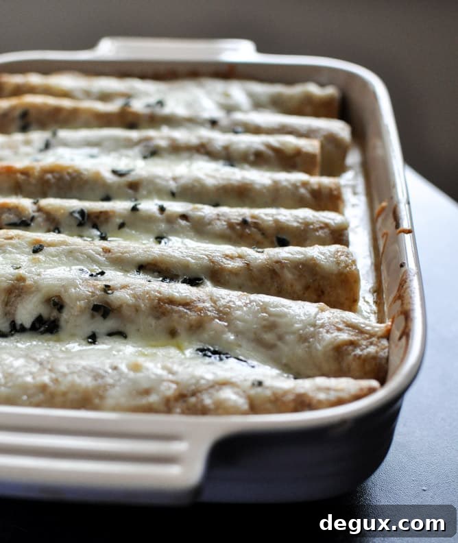 Butternut Squash Enchiladas I howsweeteats.com
