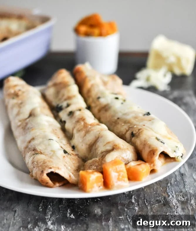 Butternut Squash Enchiladas I howsweeteats.com