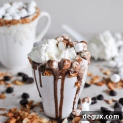 Coconut Slow Cooker Hot Chocolate Recipe (Video) 2 img 29163 8