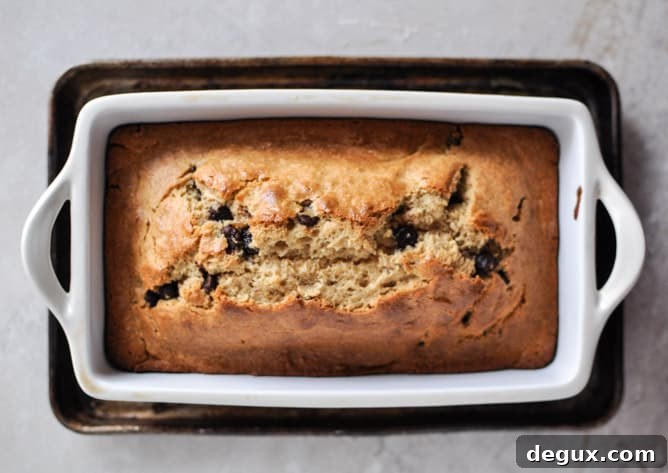 Eggnog Chocolate Chip Bread I howsweeteats.com