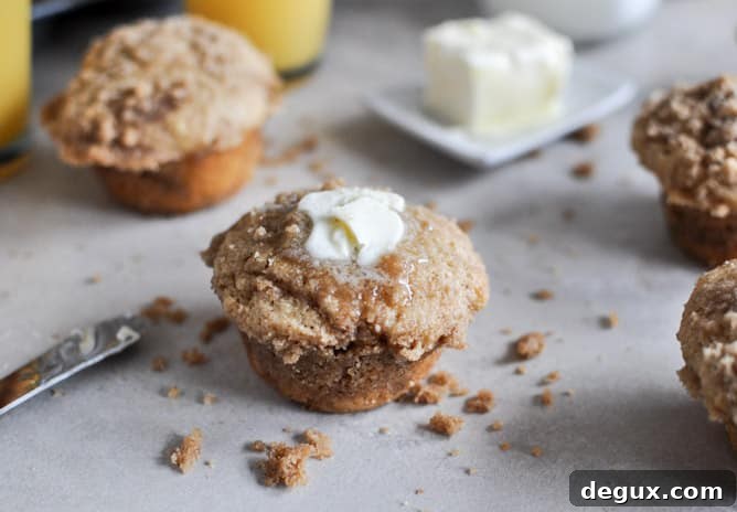 Whole Wheat Coffee Cake Muffins I howsweeteats.com