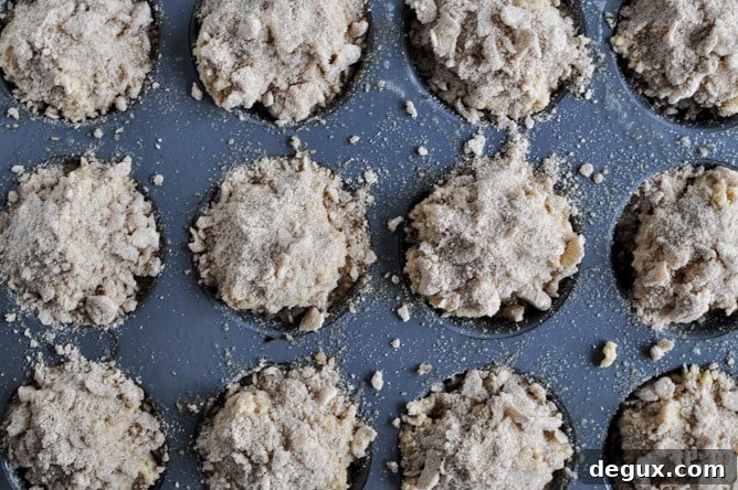 Whole Wheat Coffee Cake Muffins I howsweeteats.com